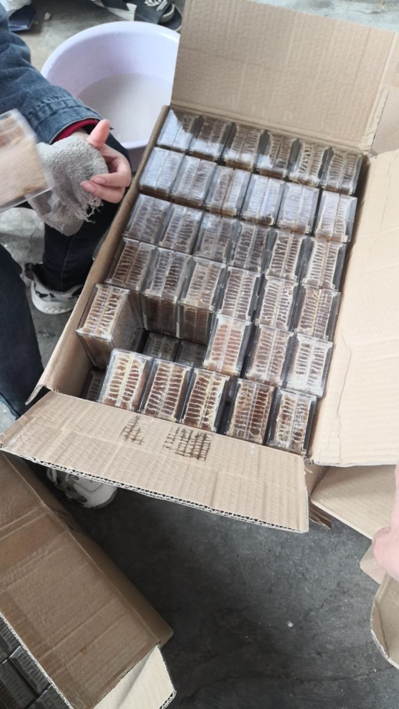 蜂巢蜜荆条巢蜜百花巢蜜二级精品应有尽有规格齐全