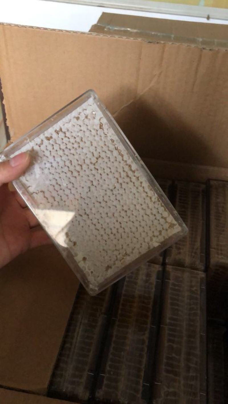 蜂巢蜜荆条巢蜜百花巢蜜二级精品应有尽有规格齐全