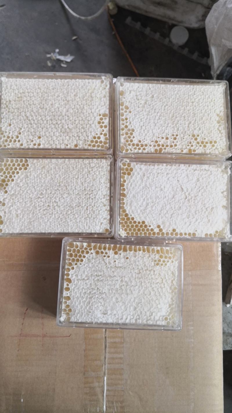蜂巢蜜荆条巢蜜百花巢蜜二级精品应有尽有规格齐全