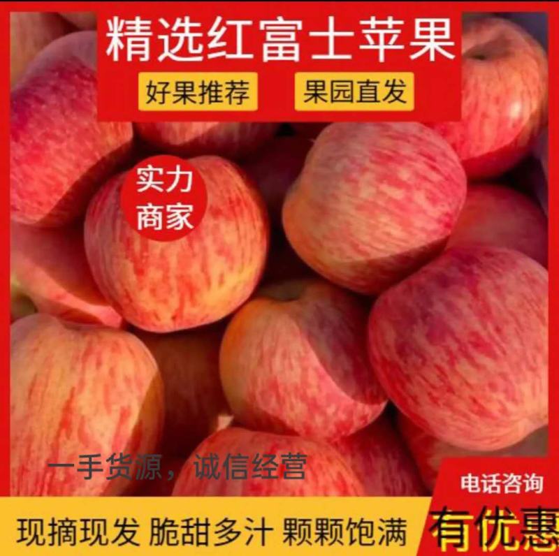 【优选苹果】红富士苹果批山东苹果产地一手货源脆甜