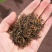 桐木关金骏眉薯香红茶口感醇厚耐泡香气足500g支持线上