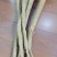 鲜货条子千斤拔家种。。。。。