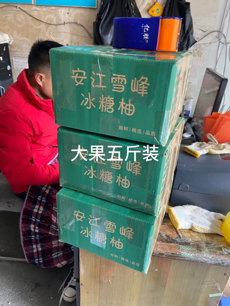 正宗安福蚕子/金兰柚/冰糖柚/小苦柚，皮薄多汁