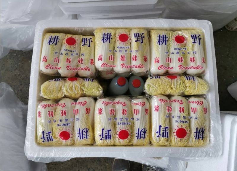 娃娃菜河南大量上市需要的来