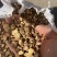 甘草野生甘草炙甘草产地直销各种规格中药材