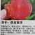 种苗，恐龙蛋李子苗，自家树苗品种保纯。