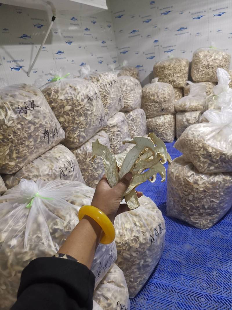 香格里拉松茸干片自烤自销产地直供包邮