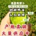现拔潍县，青萝卜大量供应中欲购从速，产地直销一手货源