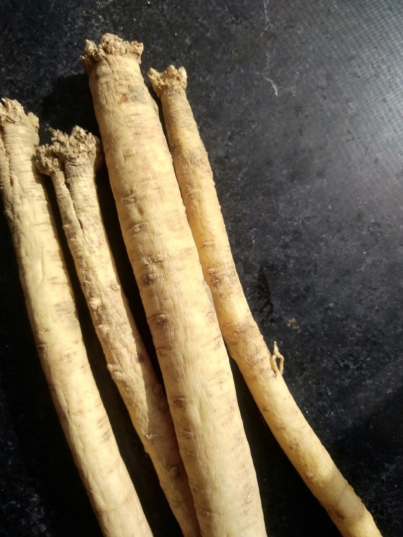 甘肃优质中药材白条党参，地处大山里，种植有千亩党参。