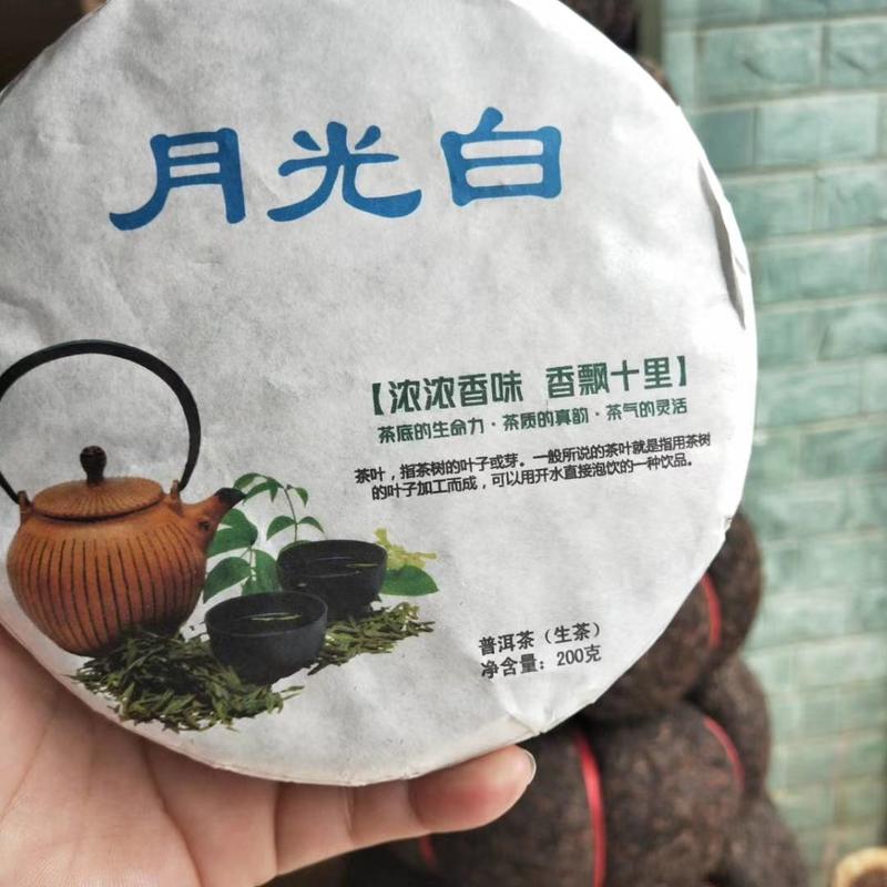 中国大叶种茶发源地，云南双江冰岛茶乡。