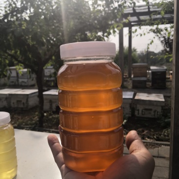 蜂蜜天然土蜂蜜百花洋槐枣花荆条蜂场直供