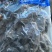 20头左右大连即食海参走量不走价，保证质量！！