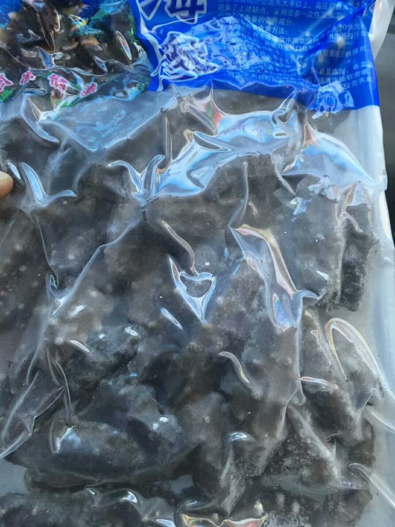 20头左右大连即食海参走量不走价，保证质量！！