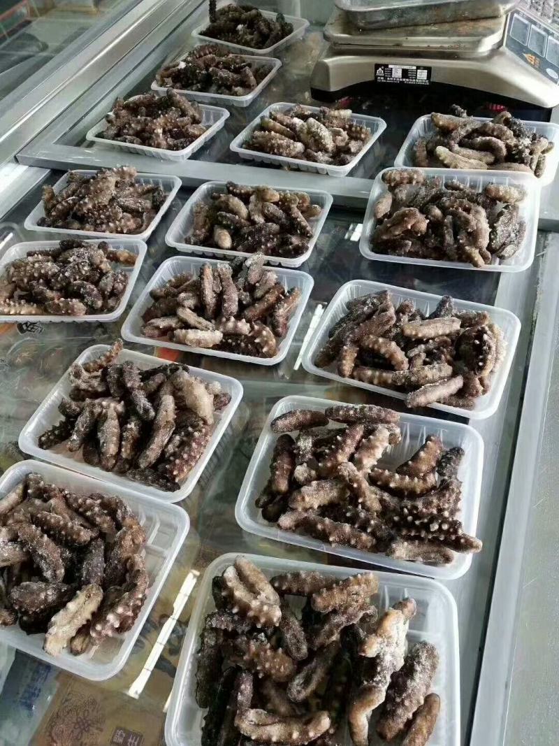 20头左右大连即食海参走量不走价，保证质量！！