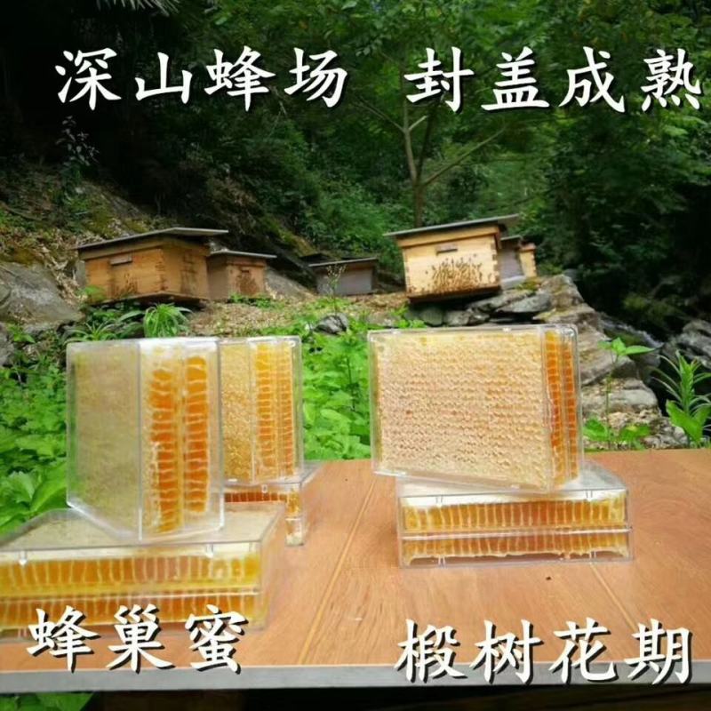 小兴安岭林都伊春原始森林农家自产纯正野生蜂巢蜜