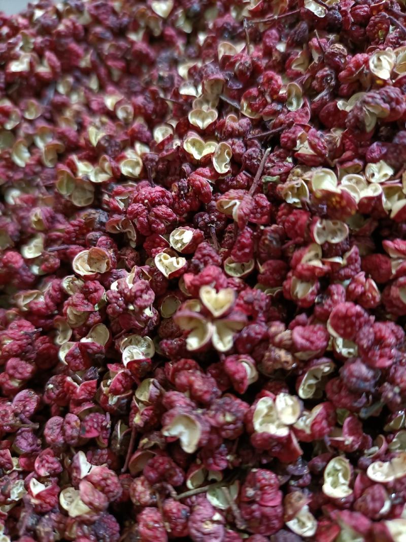 甘肃陇南武都大红袍花椒特级食用花椒伏椒粒500g，