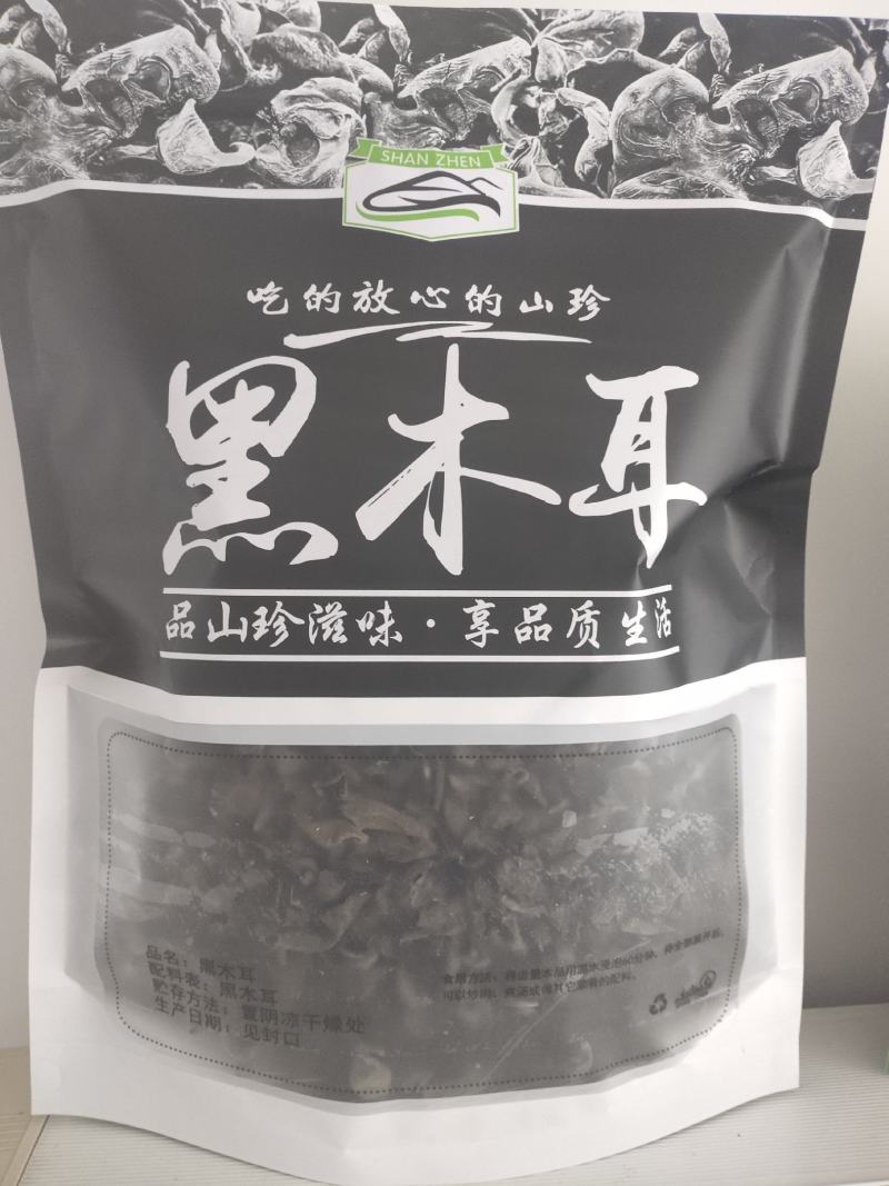 小兴安岭林都伊春山泉水灌溉原始森林头茬木耳，秋木耳