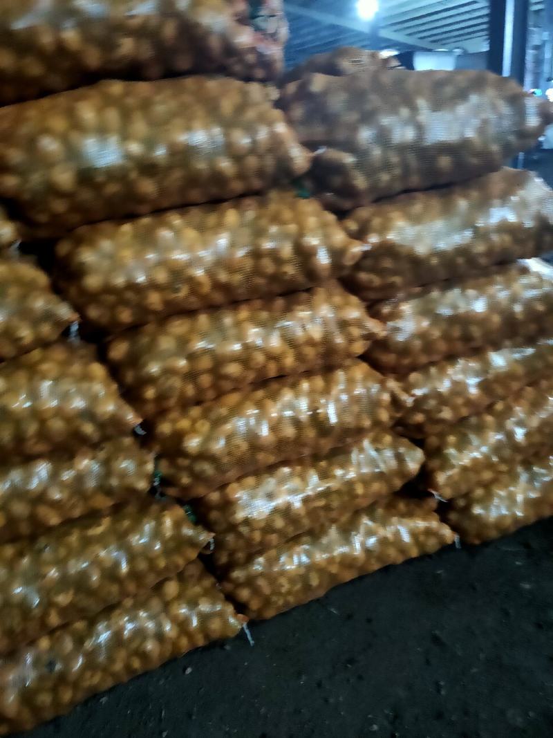 1到3两小货，兴佳二号，尤金，荷兰系列，芽眼浅，走像市场