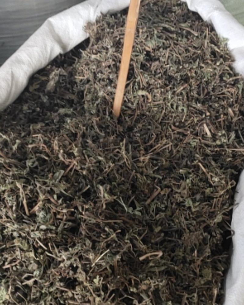 野生旱莲草草药墨旱莲