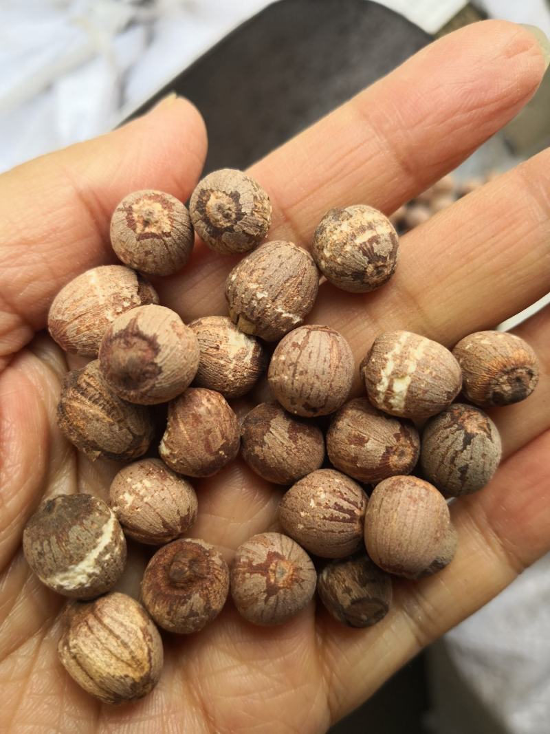 红莲子湖南干货2斤起包邮量大从优欢迎选购