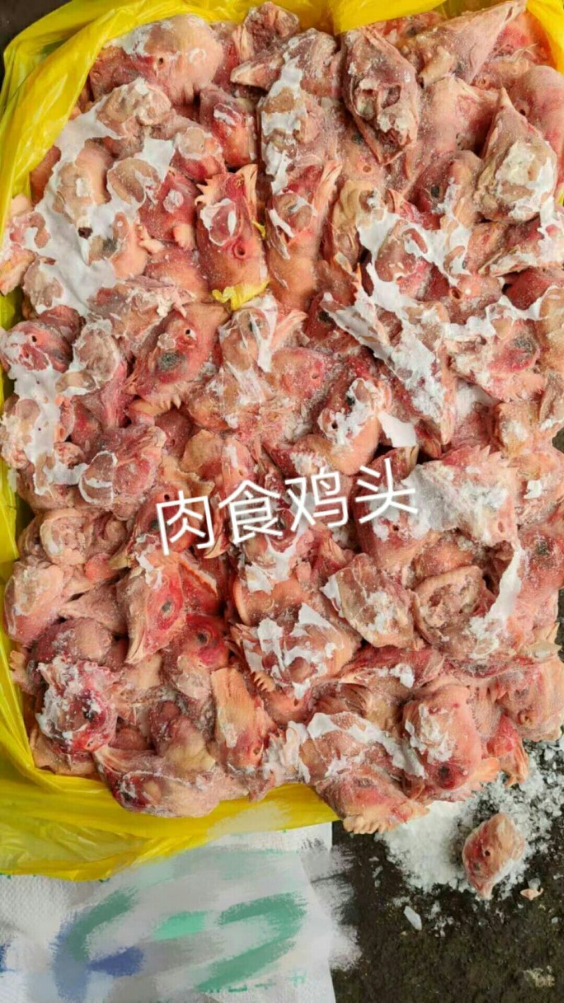 肉食鸡头，价格美丽，厂家直接发货，需要的联系我