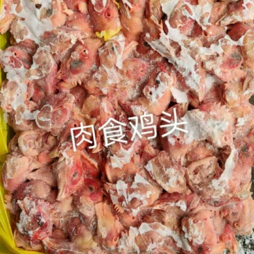 肉食鸡头，价格美丽，厂家直接发货，需要的联系我