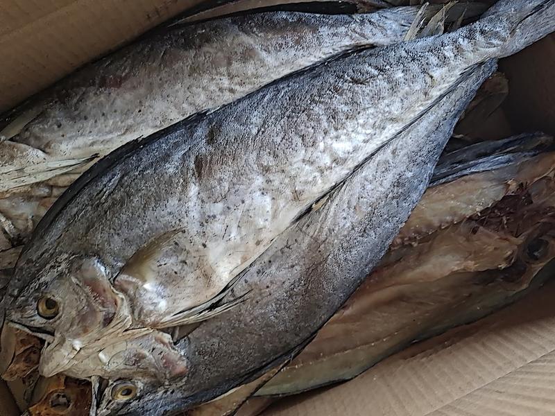 刀鲅鱼，一件净22斤！一款半成干咸鱼，质量保证，一手货源