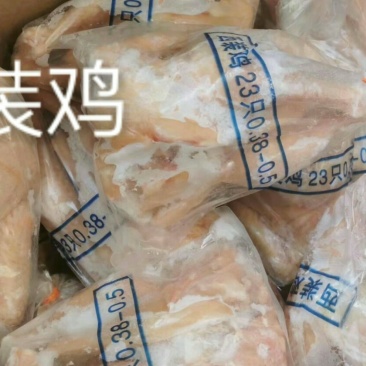 西装鸡，价格美丽，厂家直接发货，需要的联系我