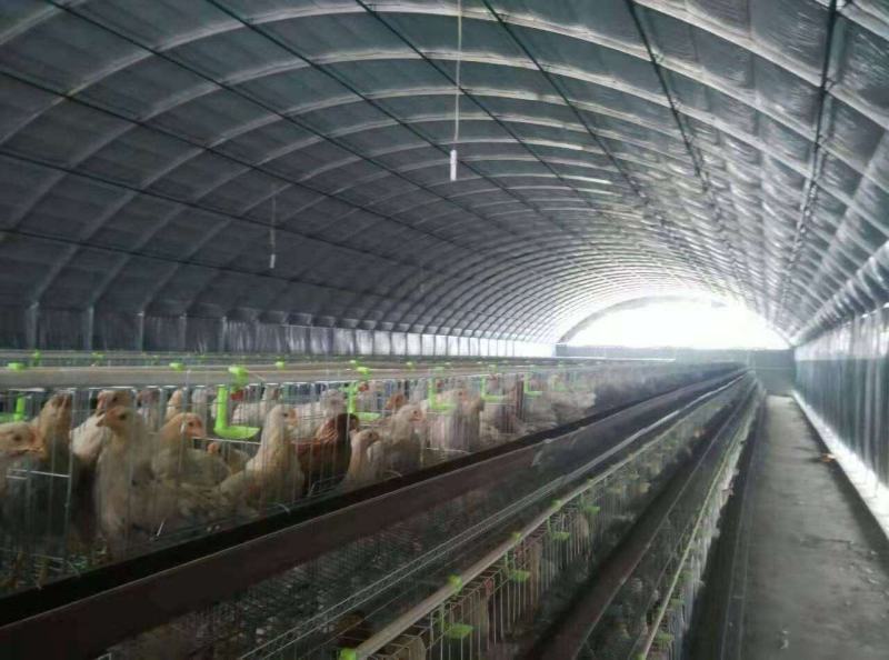 大棚零部件弯连接直连接蔬菜大棚养殖大棚温室大棚联栋大棚
