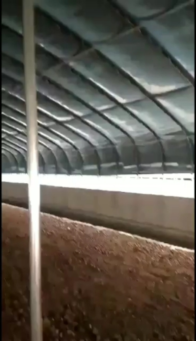 厂家按客户尺寸要求定制椭圆管养殖大棚接受定制坚固耐用，