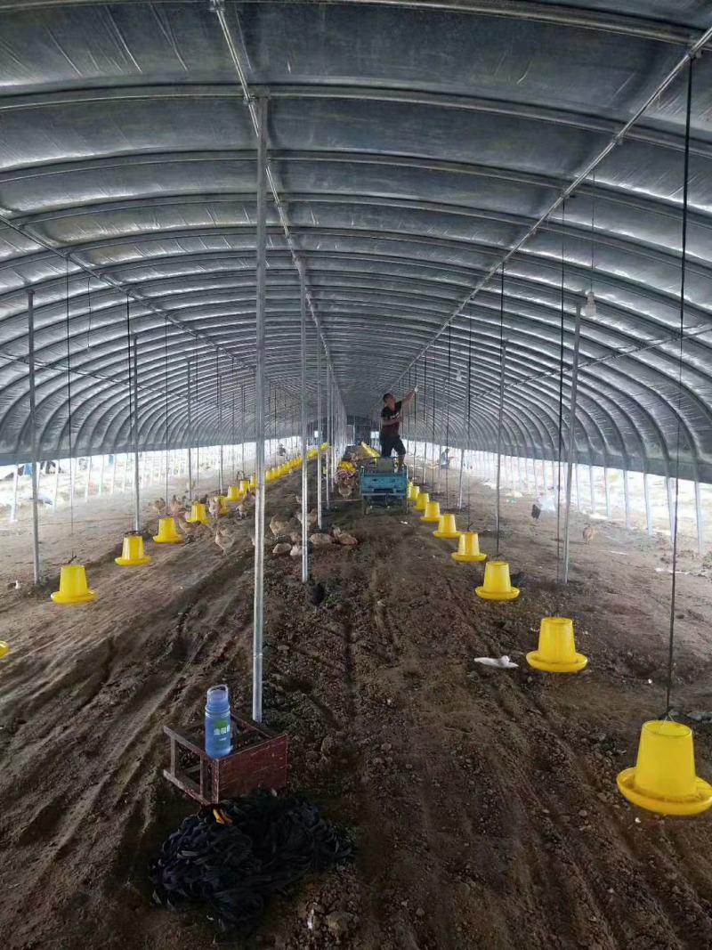 厂家按客户尺寸要求定制椭圆管养殖大棚接受定制坚固耐用，
