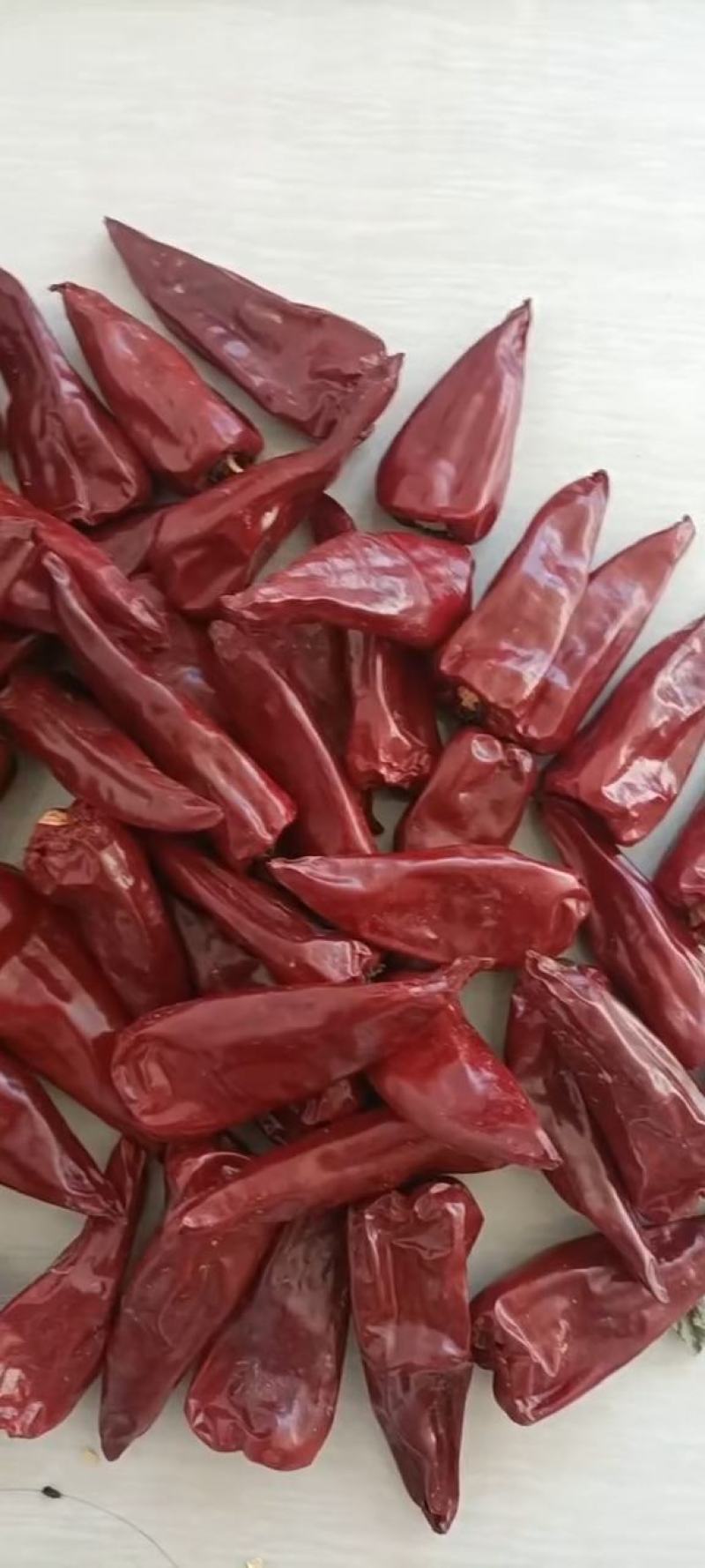 北京红干辣椒花皮质量保证