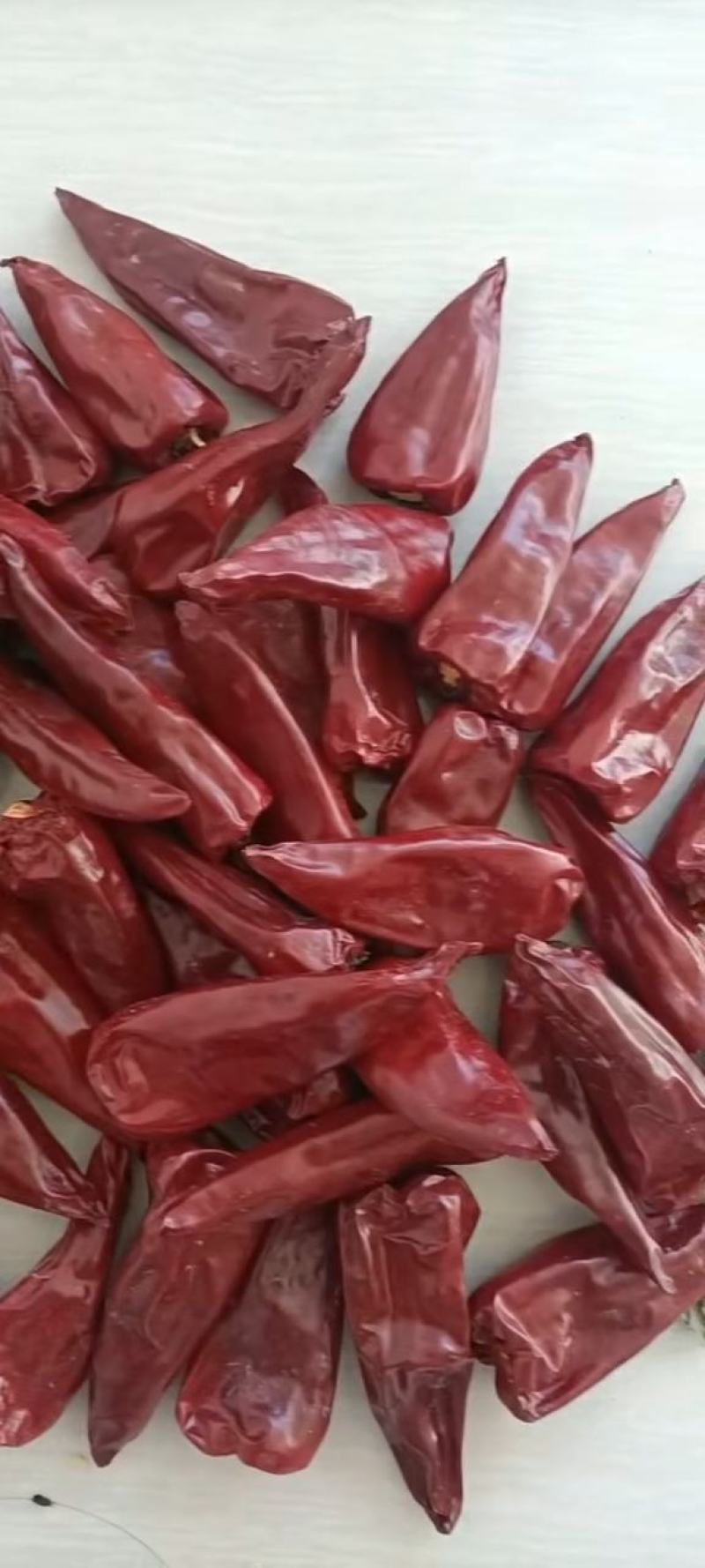 北京红干辣椒花皮质量保证