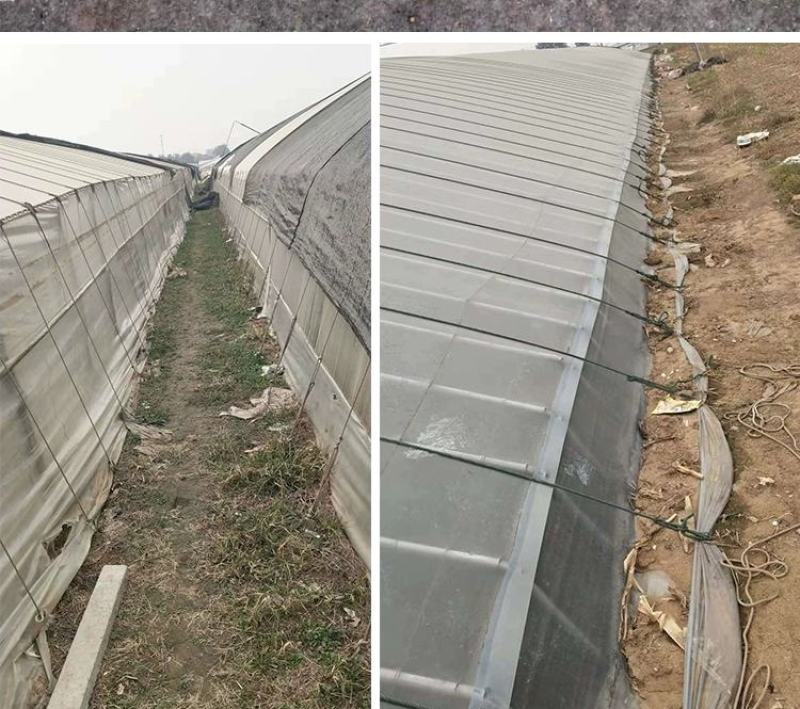 大棚地锚大棚零部件蔬菜大棚地锚养殖大棚地锚联栋大棚地锚