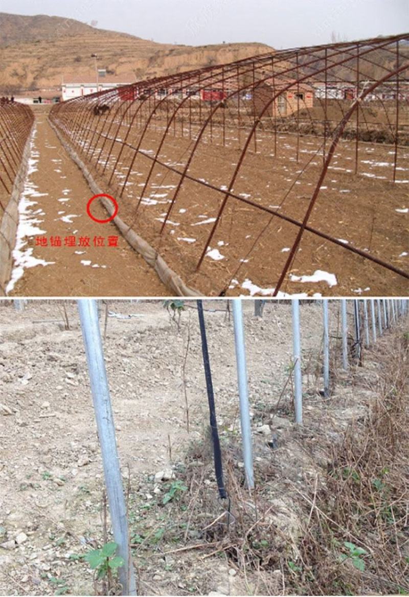 大棚地锚大棚零部件蔬菜大棚地锚养殖大棚地锚联栋大棚地锚