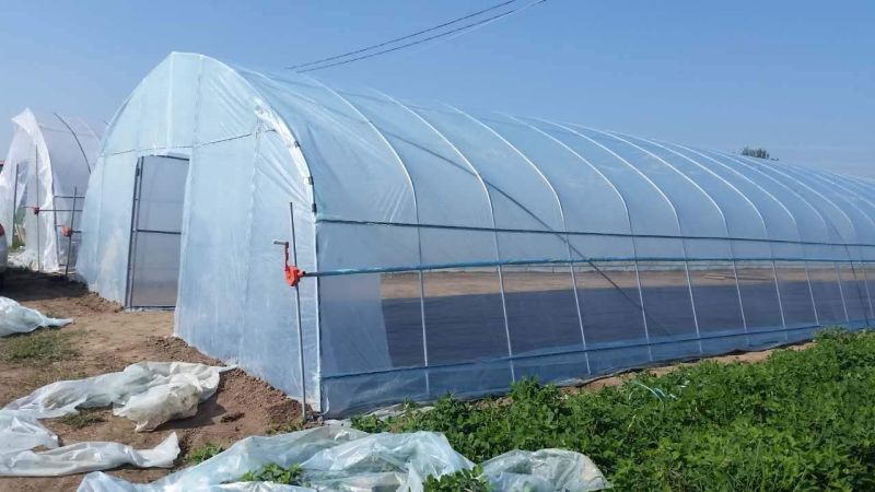 大棚卡槽固定器大棚零部件蔬菜大棚固定器养殖大棚固定器