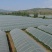 大棚卡槽固定器大棚零部件蔬菜大棚固定器养殖大棚固定器