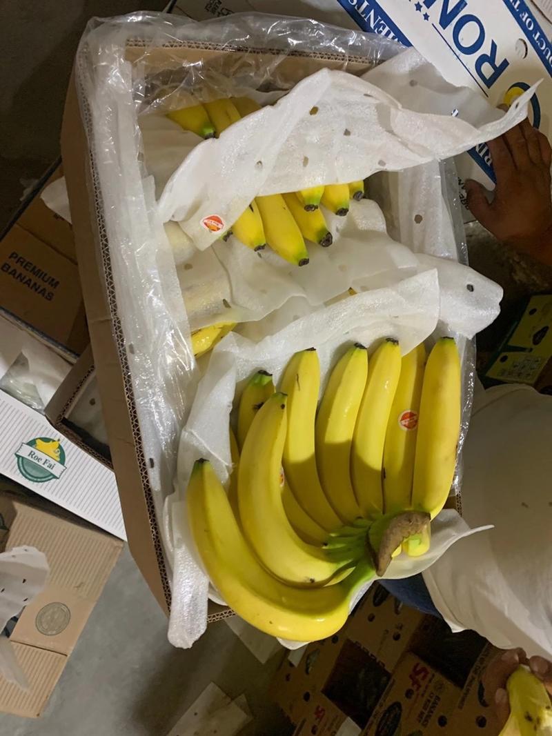 【特价促销】进口香蕉27斤净果毛重29斤批发可发全国