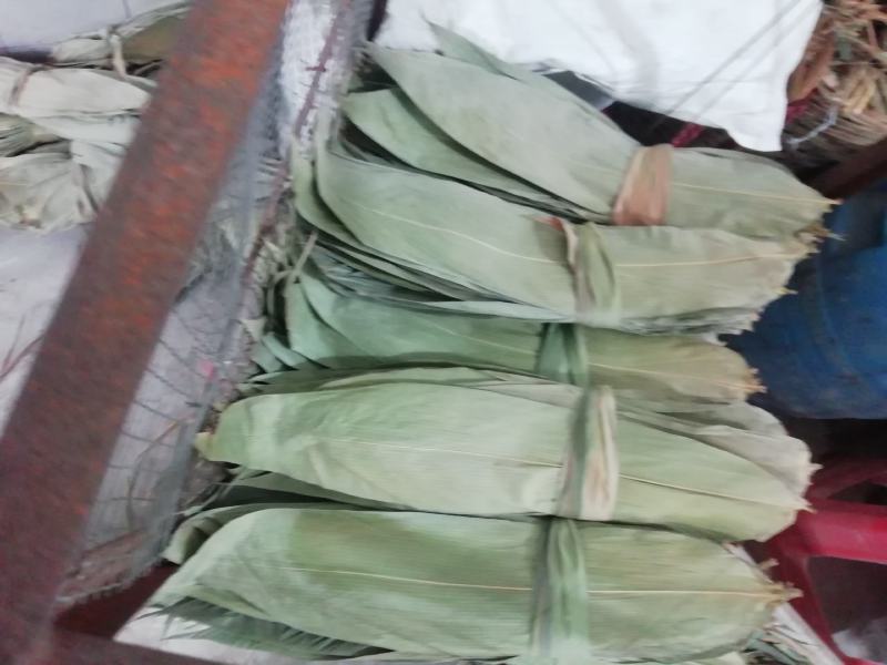 缘香粽叶专业合作社新鲜越南小通货干粽叶