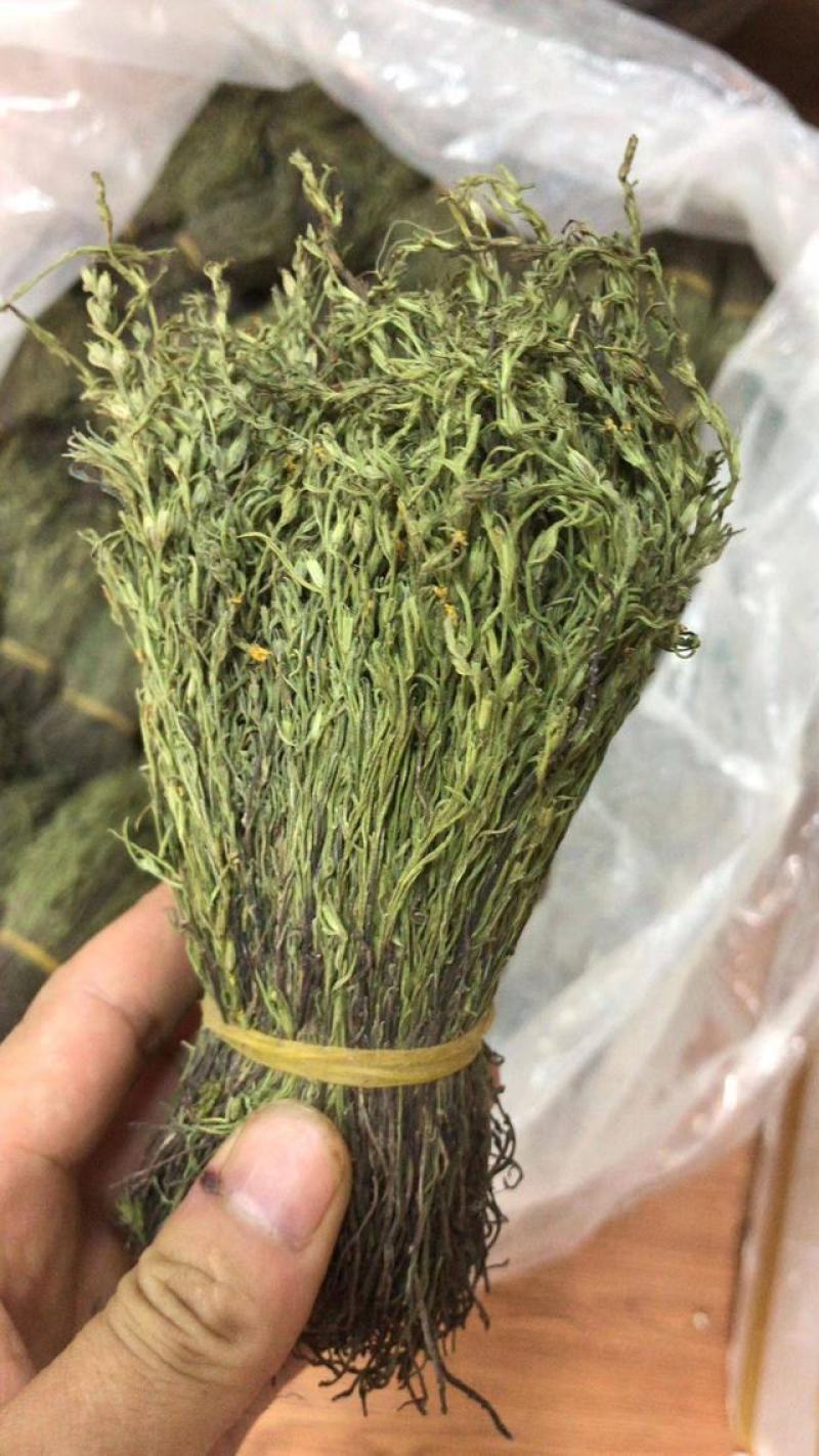 独脚金小儿开胃汤新鲜草药干货独脚柑正品野生疳积草