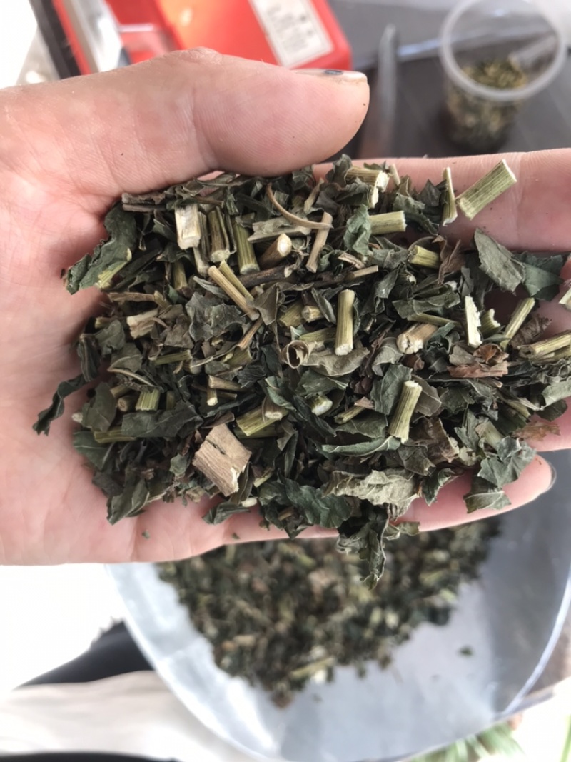佩兰保庆药业批发过筛佩兰实物拍摄现货