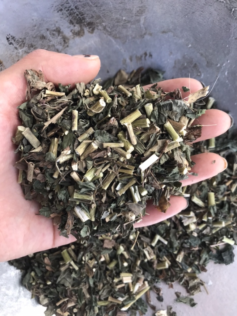 佩兰保庆药业批发过筛佩兰实物拍摄现货