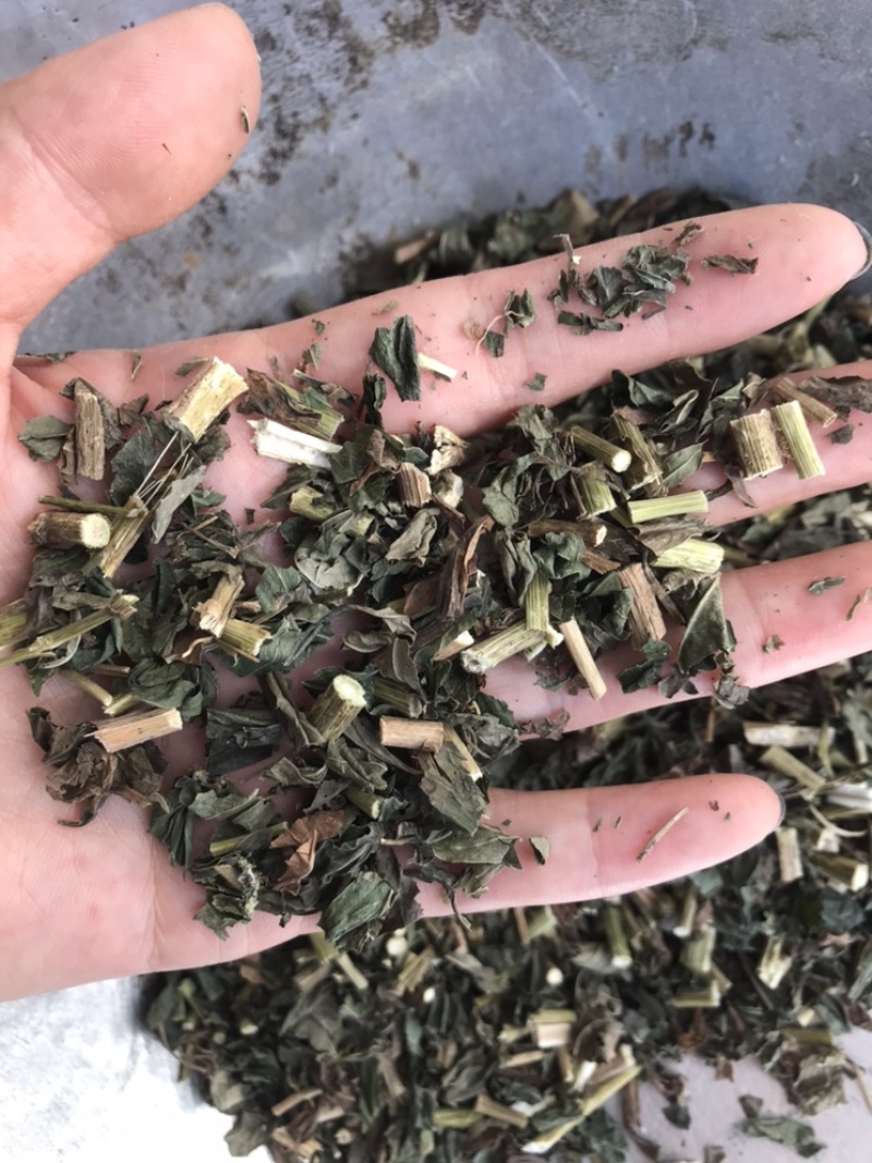 佩兰保庆药业批发过筛佩兰实物拍摄现货