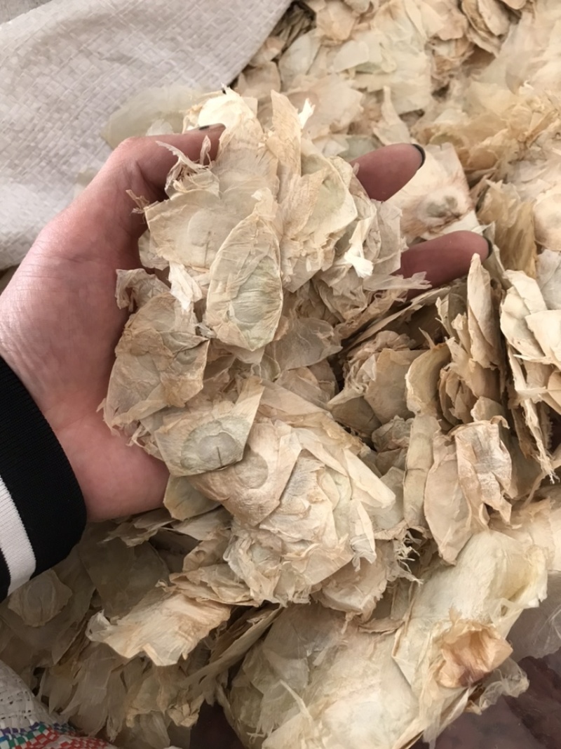 木蝴蝶玉蝴蝶千层纸保庆药业批发木蝴蝶
