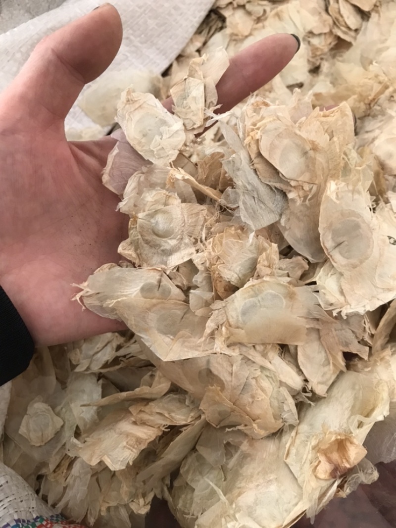木蝴蝶玉蝴蝶千层纸保庆药业批发木蝴蝶
