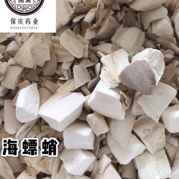 海螵蛸小海螵蛸保庆药业批发海螵蛸乌贼骨墨鱼骨