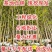 绿化银杏树苗白果树苗银杏树活苗行道景观园林庭院种植北