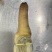 象拔蚌，价格私聊，批发供应商，酒店，美国养殖蚌