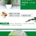文竹盆栽绿植室内土水培植物云竹盆景带盆花卉客厅四季常青文