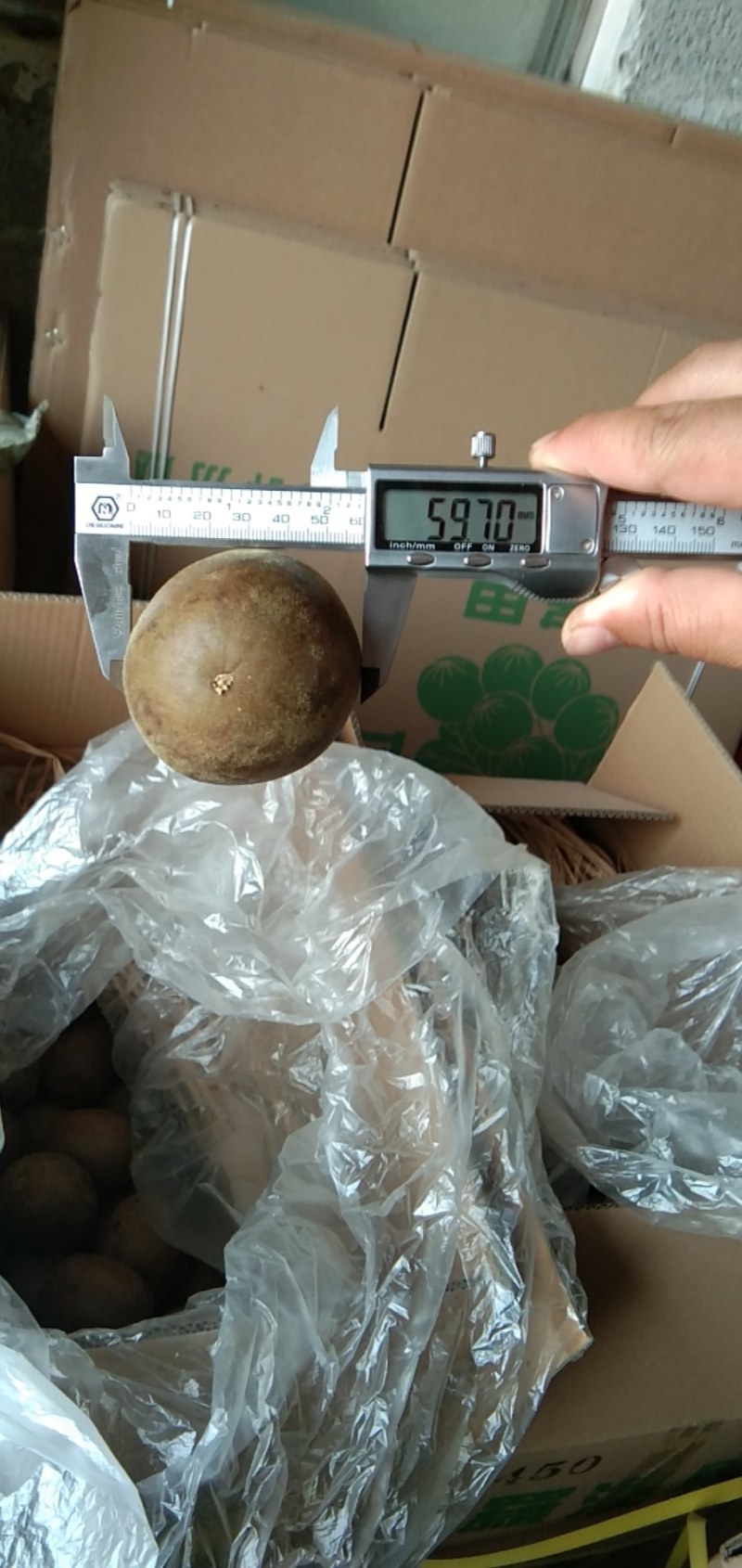 罗汉果，广西罗汉果，大量供应，批发零售，物美价廉